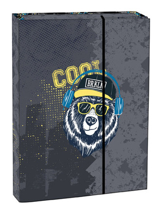 Box na sešity s klopou A5 Cool bear STIL