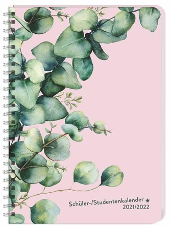 Ice Cream Schüler-/Studentenkalender A5 Kalender 2022