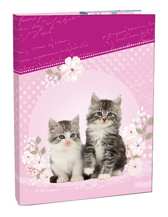 Box na sešity A5 Kitten STIL