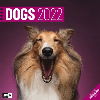 Dogs Kalender 2022