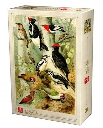 Puzzle 1000 Encyklopedia - Ssaki