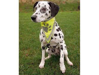 Šátek pro psy TRIXIE XS / S 22 - 28 cm