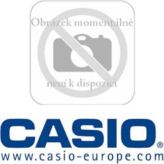 Příslušenství k terminálu CASIO AD S42120AE