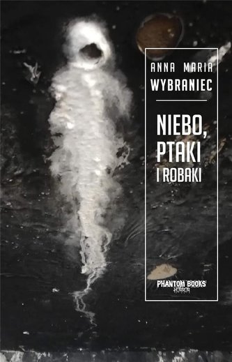 Niebo, ptaki i robaki Niebo, ptaki i robaki