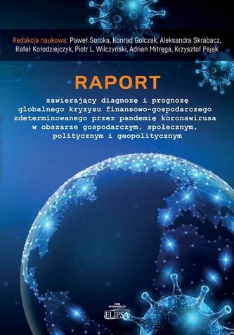 Raport zawierający diagnozę i prognozę..