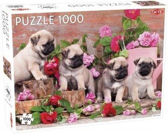 Puzzle 1000 Puppy Pugs