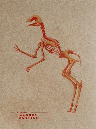 Notes Magnus Rostelli