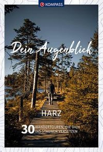 Dein Augenblick Harz