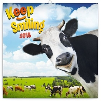 Úsměv - nástěnný kalendář 2018