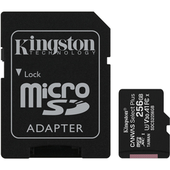 Paměťová karta KINGSTON SDCS2/256GB