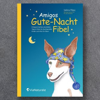 Amigos Gute-Nacht-Schlaffibel