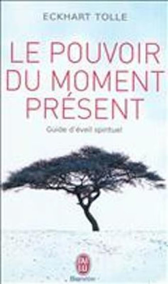 Le Pouvoir Du Moment Present Le Pouvoir Du Moment Present