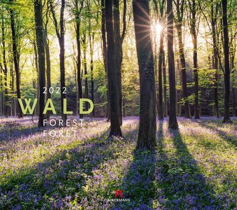 Wald 2022