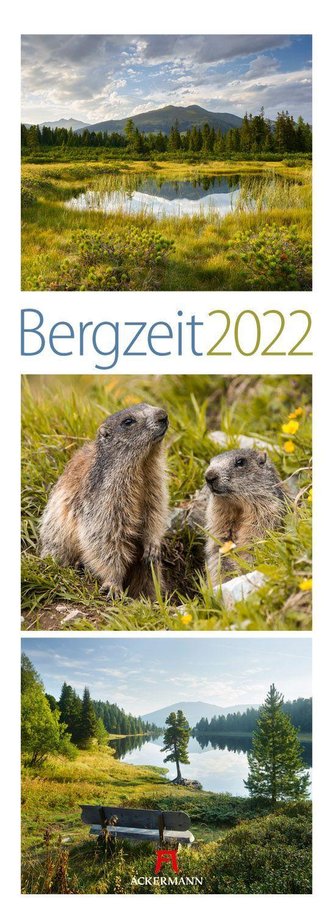Bergzeit 2022