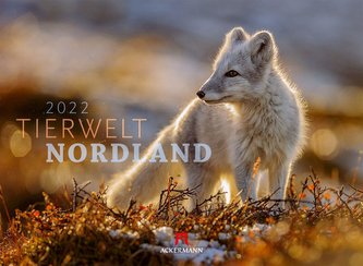 Tierwelt Nordland Kalender 2022