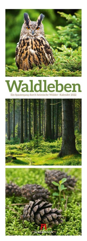 Waldleben - Triplet-Kalender 2022