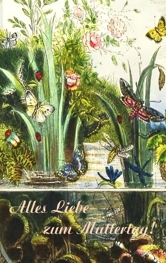 Alles Liebe zum Muttertag! (Notizbuch) Alles Liebe zum Muttertag! (Notizbuch)