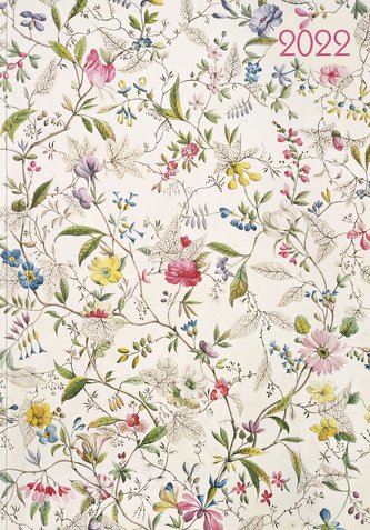 Lady-Timer Wild Flowers 2022