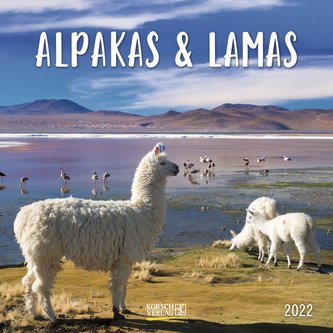 Alpakas und Lamas 2022