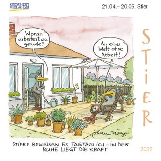 Stier Mini 2022