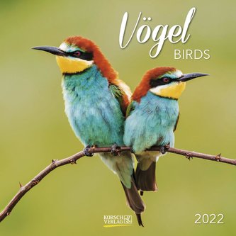 Vögel 2022