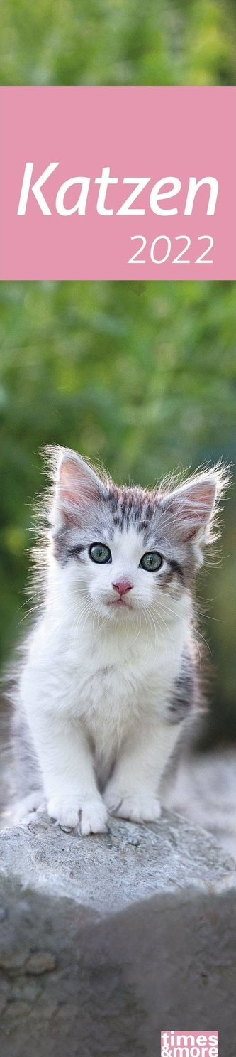 times & more Katzen long 2022