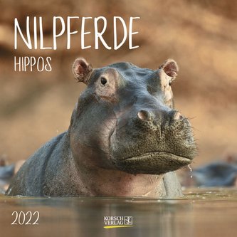 Nilpferde 2022