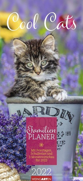 Familienplaner Cool Cats - Kalender 2022
