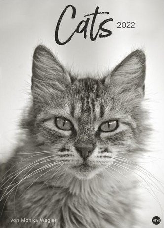 Cats Edition - Kalender 2022