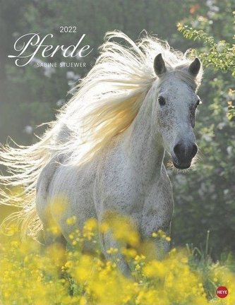 Pferde Classics 2022