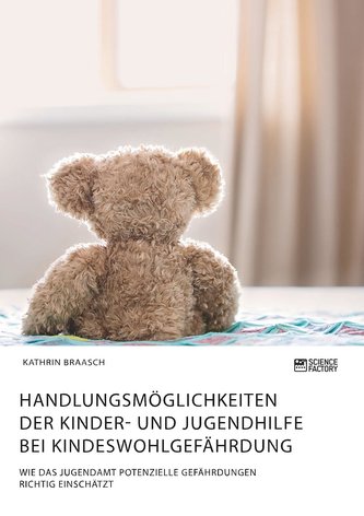 Handlungsmöglichkeiten der Kinder- und Jugendhilfe bei Kindeswohlgefährdung. Wie das Jugendamt potenzielle Gefährdungen richtig