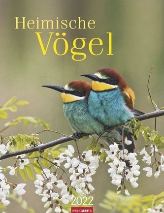 Heimische Vögel Kalender 2022