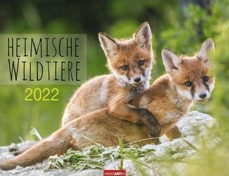 Heimische Wildtiere Kalender 2022