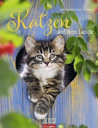 Katzen auf dem Lande Kalender 2022
