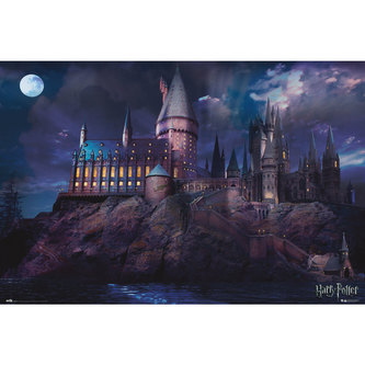 Plakát Harry Potter: Bradavice - Hogwarts (61 x 91,5 cm) 150 g