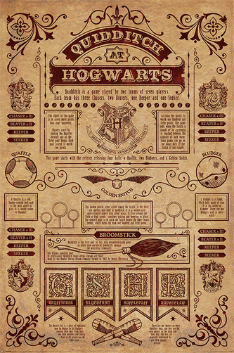 Plakát Harry Potter: Quidditch At Hogwarts (61 x 91,5 cm)