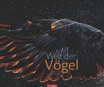 Welt der Vögel Kalender 2022