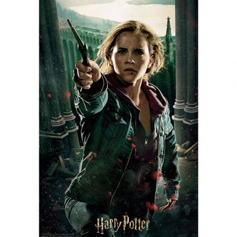 3D puzzle Harry Potter: Hermione 300 kusů ()