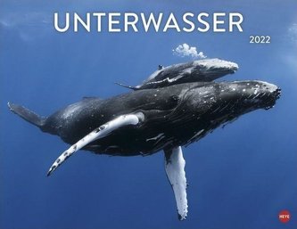 Unterwasser Posterkalender 2022