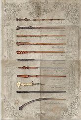 Plakát Harry Potter: The Wand Chooses The Wizard (61 x 91,5 cm)
