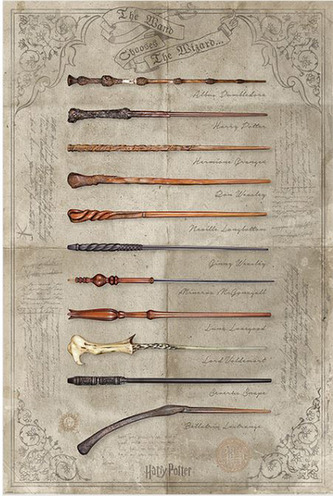 Plakát Harry Potter: The Wand Chooses The Wizard (61 x 91,5 cm)