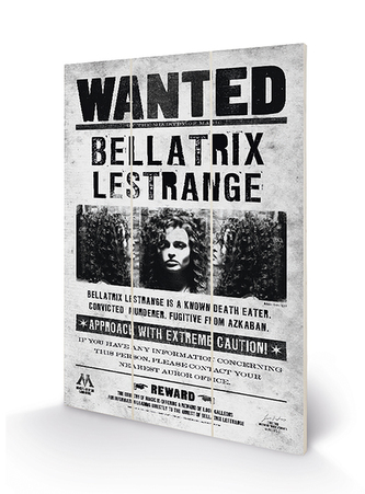 Obraz - malba na dřevě Harry Potter: Bellatrix Wanted (20 x 29,5 cm) Obraz - malba na dřevě Harry Potter: Bellatrix Wanted (20 x 29,5 cm)