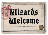 Plechová dekorativní cedule na zeď Harry Potter: Wizards Welcome (14,8 x 21 cm)