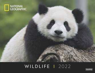 Wildlife Posterkalender National Geographic Kalender 2022
