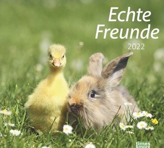 times & more Echte Freunde Bildkalender 2022