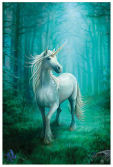 Plakát Anne Stokes: Forest Unicorn (61 x 91,5 cm)