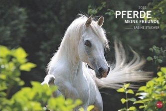 Pferde. Meine Freunde 2022