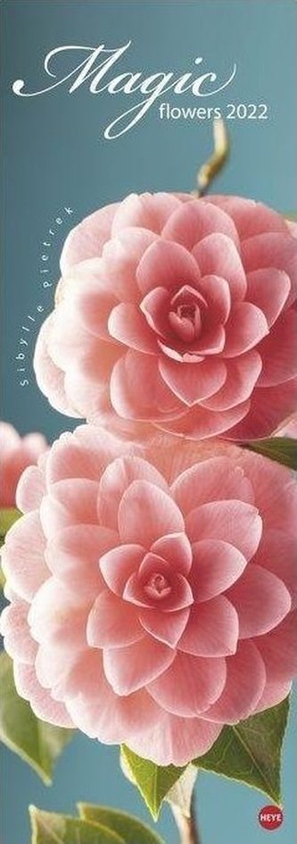 Magic Flowers Vertical 2022