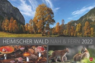 Wald nah und fern Edition - Kalender 2022 Wald nah und fern Edition - Kalender 2022