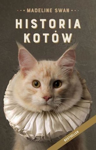 Historia kotów Historia kotów